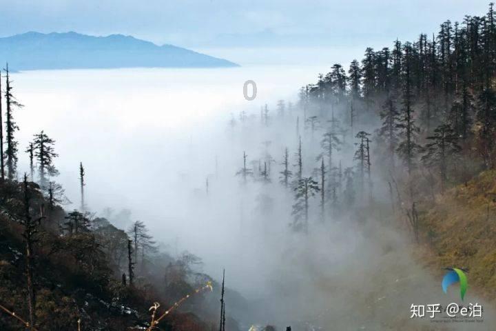 dom和m冲突吗游戏画面