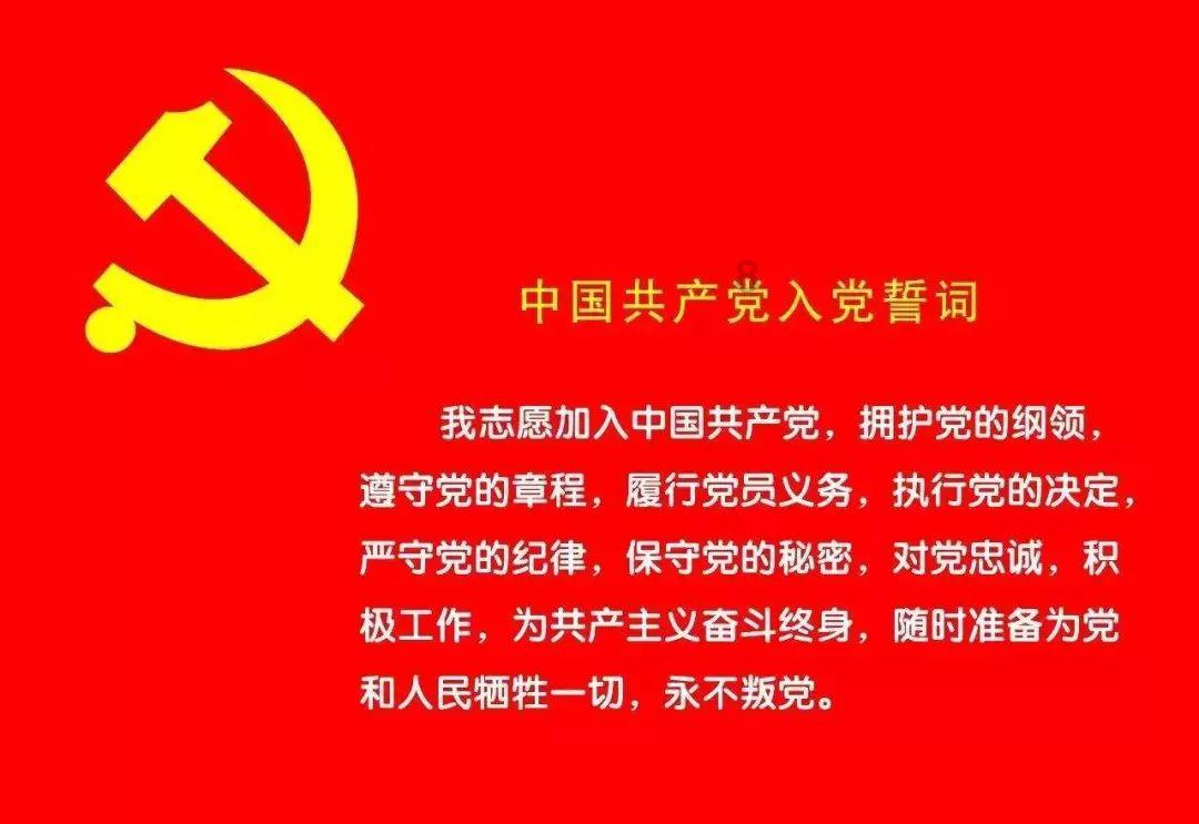 细胞分裂6