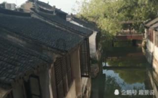 逃离诡异的森林